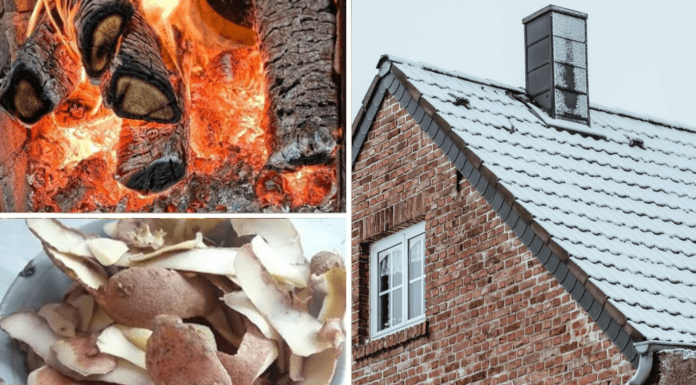 Старий метод без солі спрацював: димар прочищаю за 5 хвилин, і тяга в пічці стала помітно сильнішою Як легко позбутися сажі у димоході