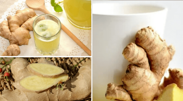 І не чай, і не кава, і навіть не цикорій: ось що я п’ю зранку першим – запускаю метаболізм і худну – 2 в 1 Імбирна вода натщесерце допоможе схуднути
