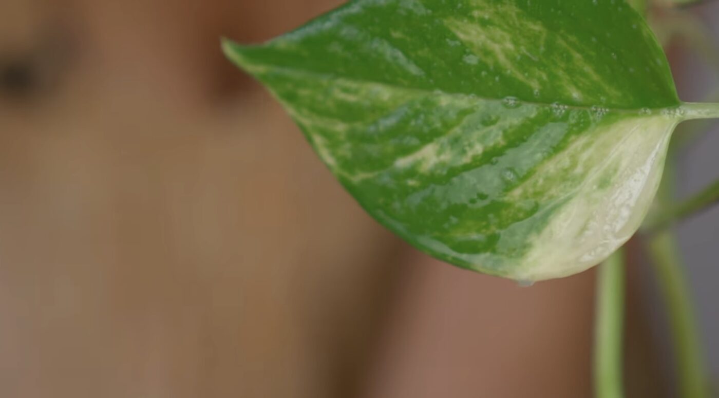 Як покращити сон без снодійних препаратів