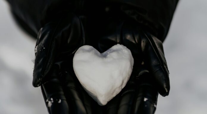 Спеціалісти показали, яким чином зберегти тепло рук в мороз на вулиці