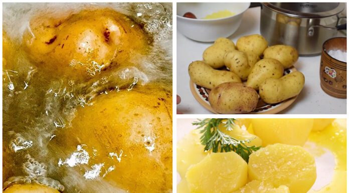 Кухарі показали, як відварити картоплю, щоб вона не розварилася