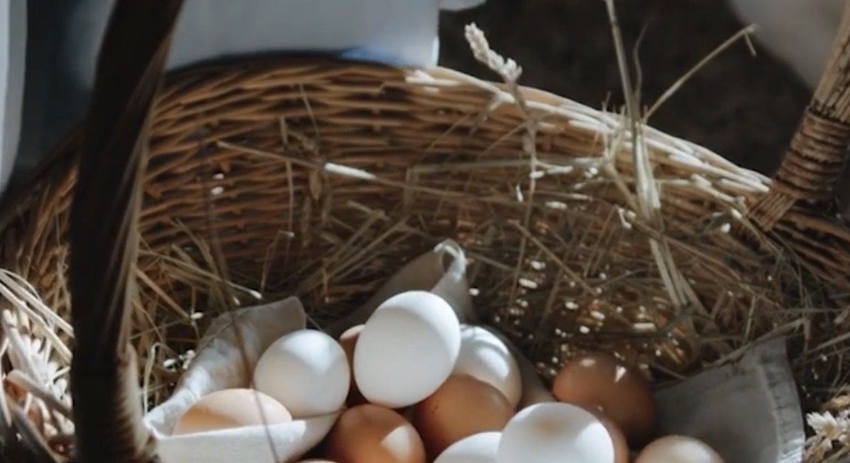 Коли в Україні подорожчають курячі яйця