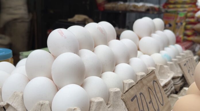 Побачила ціни на яйця в супермаркеті й вже запасаюсь: кажуть, що до Нового року десяток подорожчає ще на 20% Експерти розповіли, коли в Україні подорожчають курячі яйця