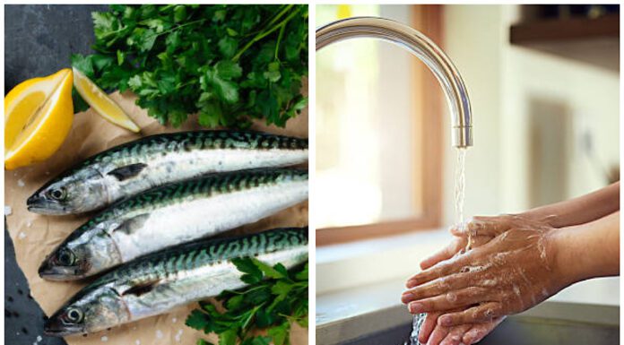 Тепер їм скумбрію та оселедець хоч щодня і руки не тхнуть: 1 лайфхак, щоб вимити руки за 5 секунд від запаху Господиня показала, чим мити руки після риби, аби не було запаху