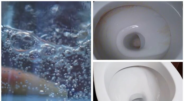 Чоловік подумав, що я “тю-тю”, коли побачив, як я чищу унітаз: виливаю туди 1 пляшку дешевої газованої води Господиня показала бюджетний засіб для очищення унітаза
