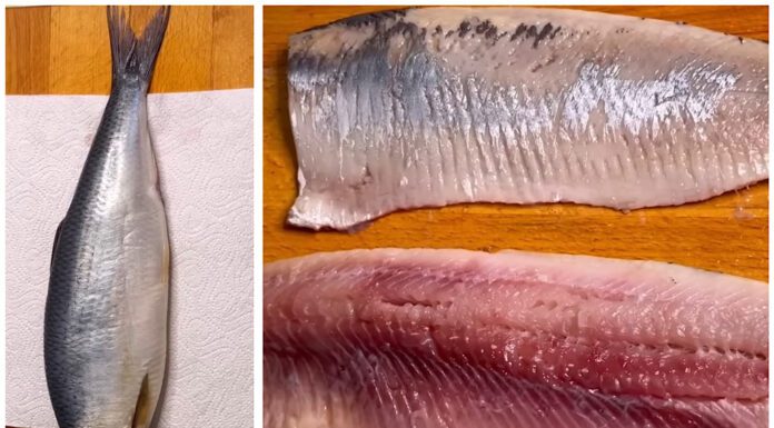 Чищу оселедець за 2 хвилини: ці два “секретні” методи підказала мені бабуся – я здивувалась, що це так легко Кухарі показали, як швидко й легко почистити оселедець