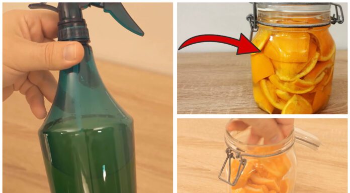 Заливаю шкірки апельсинів гарячою водою – і відмиваю ці 5 поверхонь на кухні від бруду та жиру Господиня розповіла, як звичайні шкірки апельсинів очищають кухню