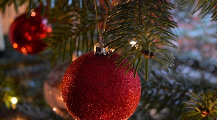 По 3 краплі на штучну ялинку – і вона пахне, як ліс в казці: натуральний та бюджетний засіб Господиня розповіла, як зробити, аби штучна ялинка мала запах свіжої