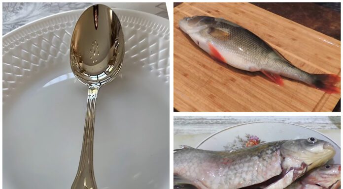 Бабусин спосіб без ножів спрацював: рибу чищу від луски за 1 хвилину однією ложкою – жодного бруду на кухні Кухарі показали, як за допомогою ложки швидко почистити рибу