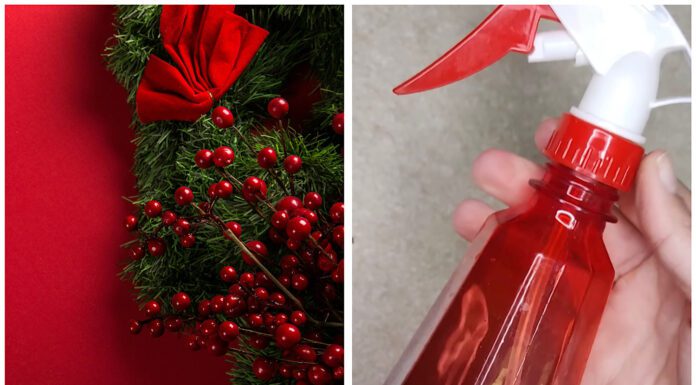 У квартирі на Різдво розпилюю тільки цей саморобний ароматизатор: 1в1, як у різдвяних кав’ярнях Господиня показала, як зробити різдвяний ароматизатор своїми руками