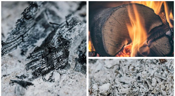 Господиня показала, як правильно застосовувати деревний попіл