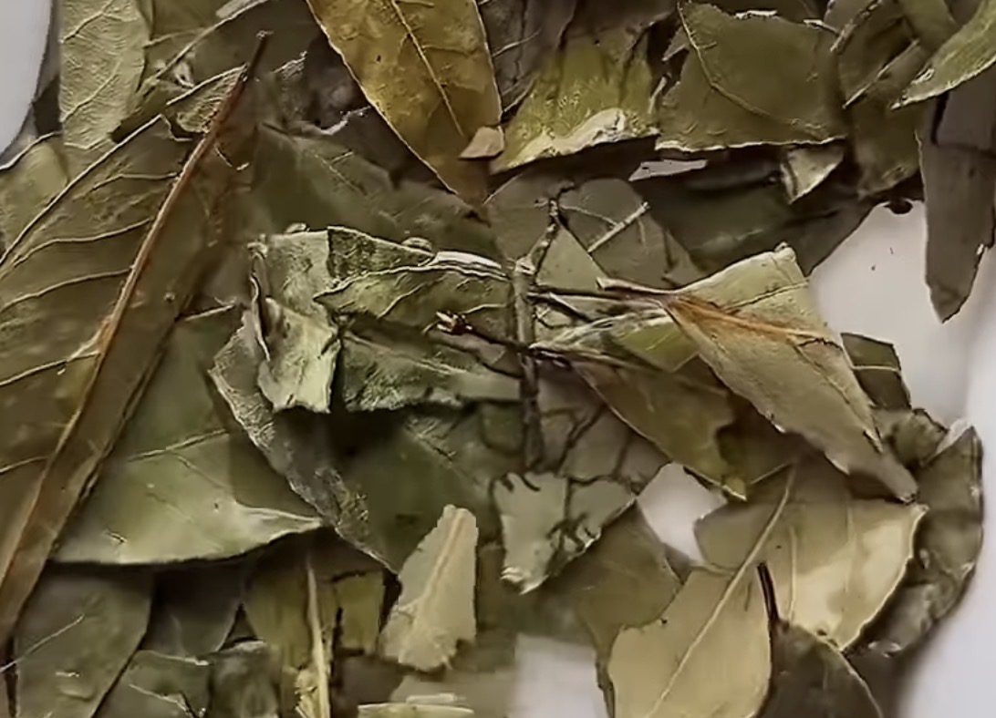 Як зробити, аби в туалеті був дуже приємний запах