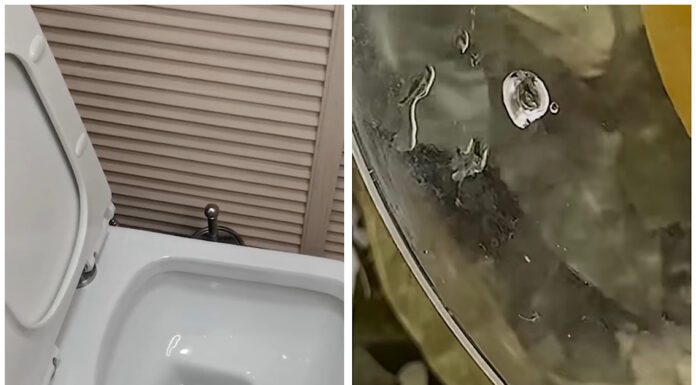 Спеціалісти розповіли, як зробити, аби в туалеті був дуже приємний запах