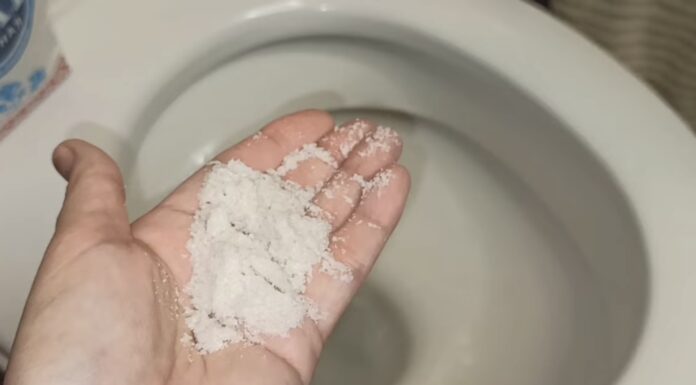 Сантехнік пояснив, як просто та дієво прибрати неприємний запах в туалеті