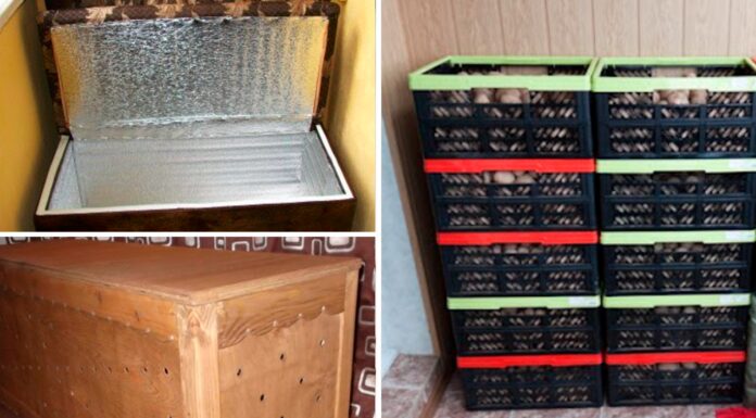 Як зберігати картоплю на балконі до весни