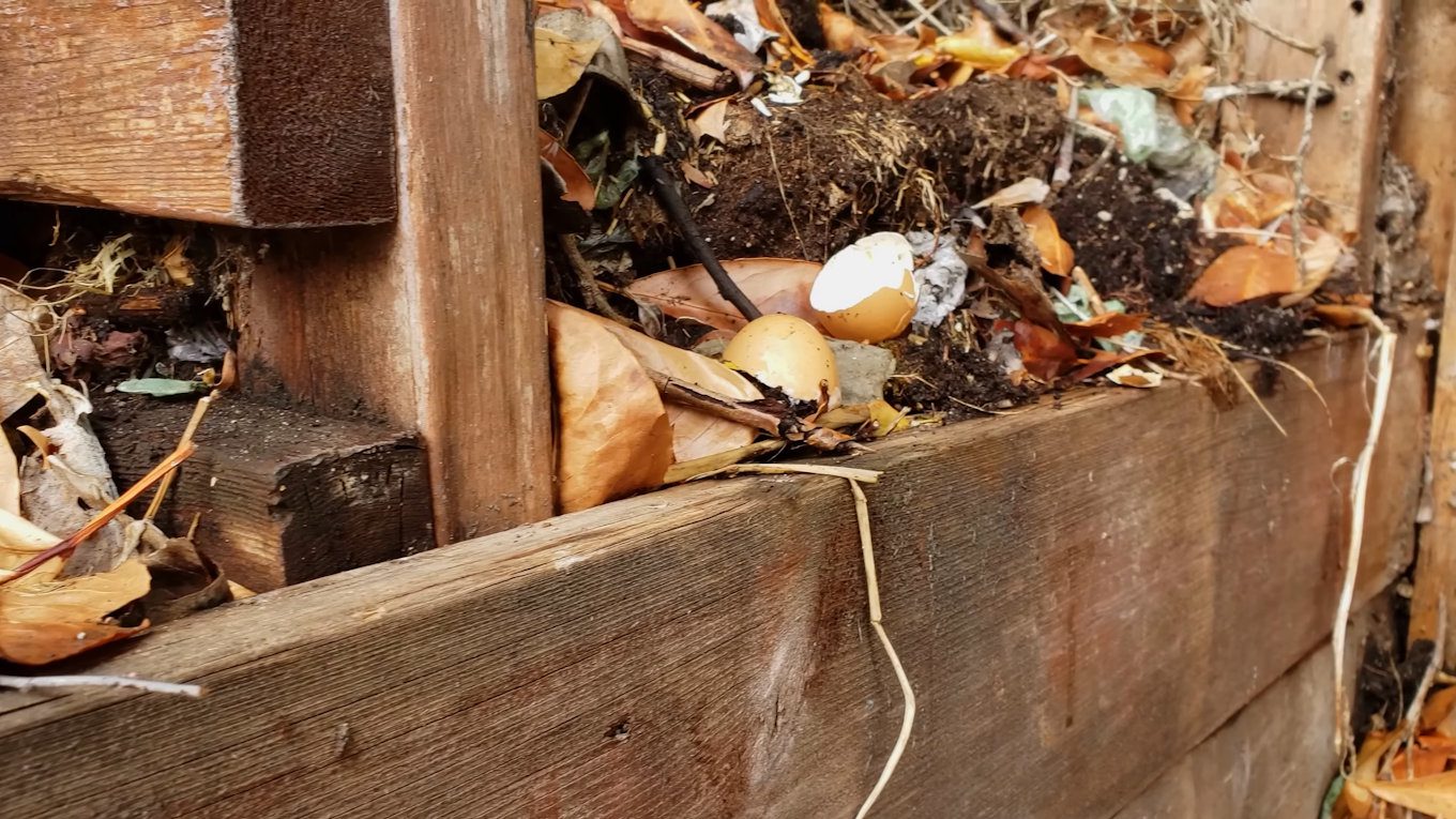 Для гарного компосту на 1-2 частини зелених матеріалів треба брати 2-3 частини коричневих