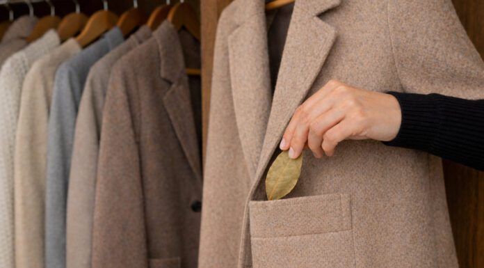 Господині показали, як лавровий лист відлякує міль у шафі без аерозолів