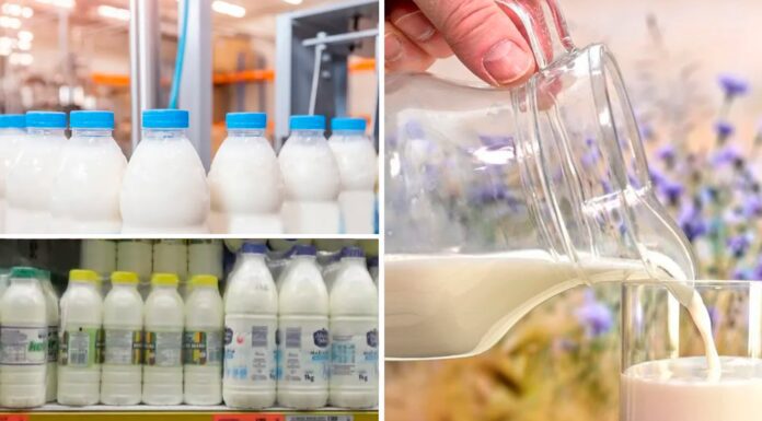 Молочна продукція у Польщі коштує дешевше, аніж в Україні