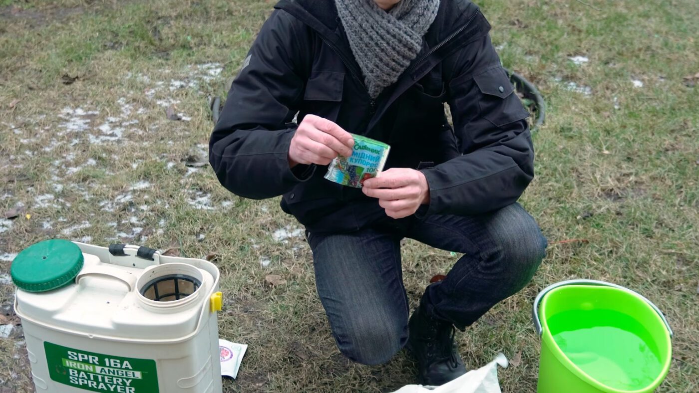 Садівники назвали найкращий засіб проти зимуючих під корою шкідників