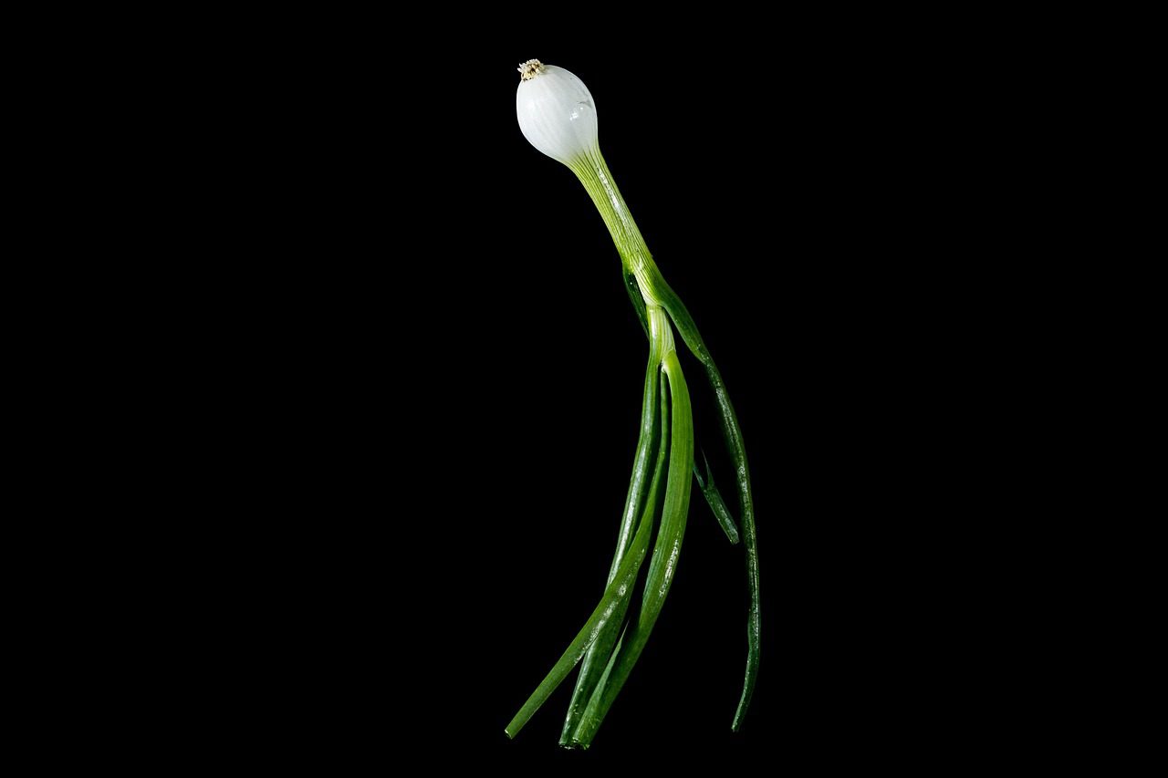 Садівники розповіли, як виростити зелену цибулю в домашніх умовах – аби була соковита й смачна