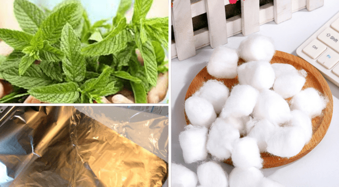 Як прогнати мишей з обійстя завдяки запахам