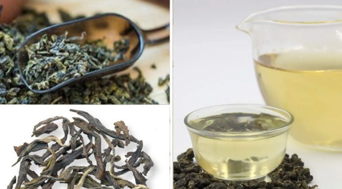 Не чорний, не зелений, не червоний: вчені радять пити саме цей чай – він найкорисніший з усіх існуючих Білий чай - це окремий вид тонізувального напою