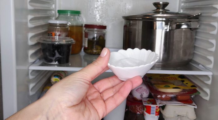 Ставлю в холодильник 1 склянку – і запахи зникають за ніч: навіть після риби та часнику не лишається нічого Господині порадили швидкий спосіб очищення холодильника від неприємних запахів