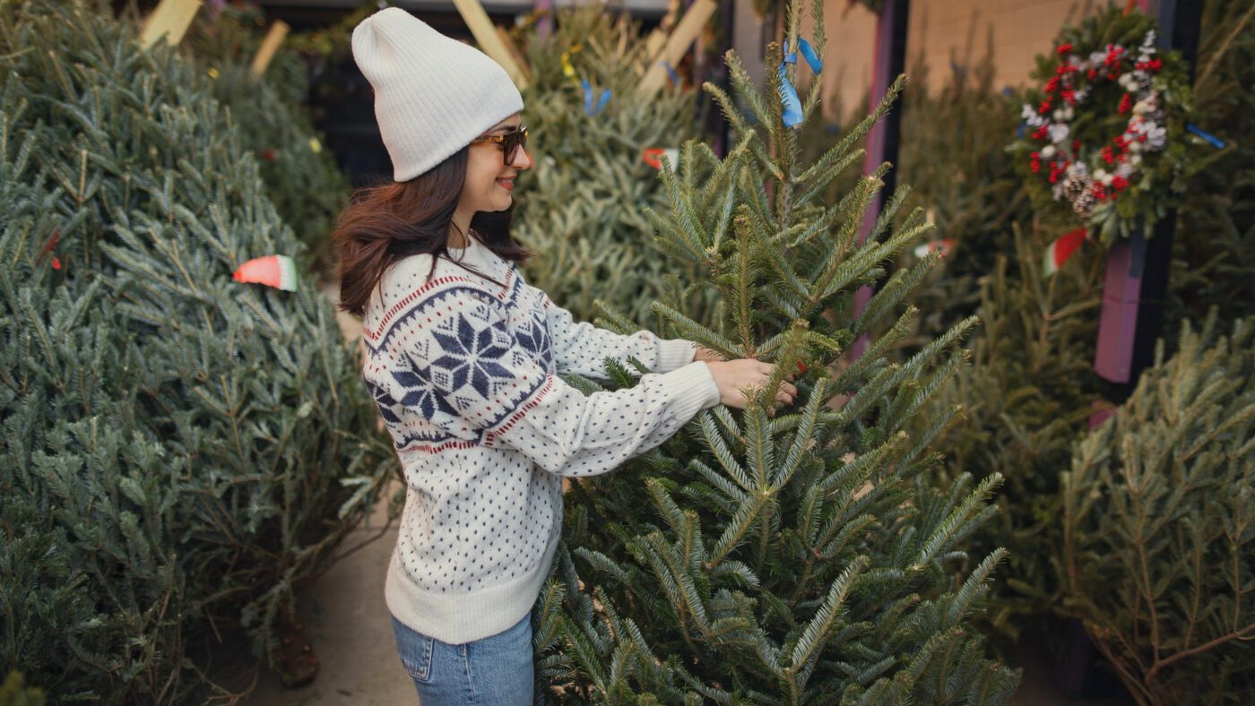 Уважно вибирайте дерево, щоб воно було свіжим та без будь-яких дефектів