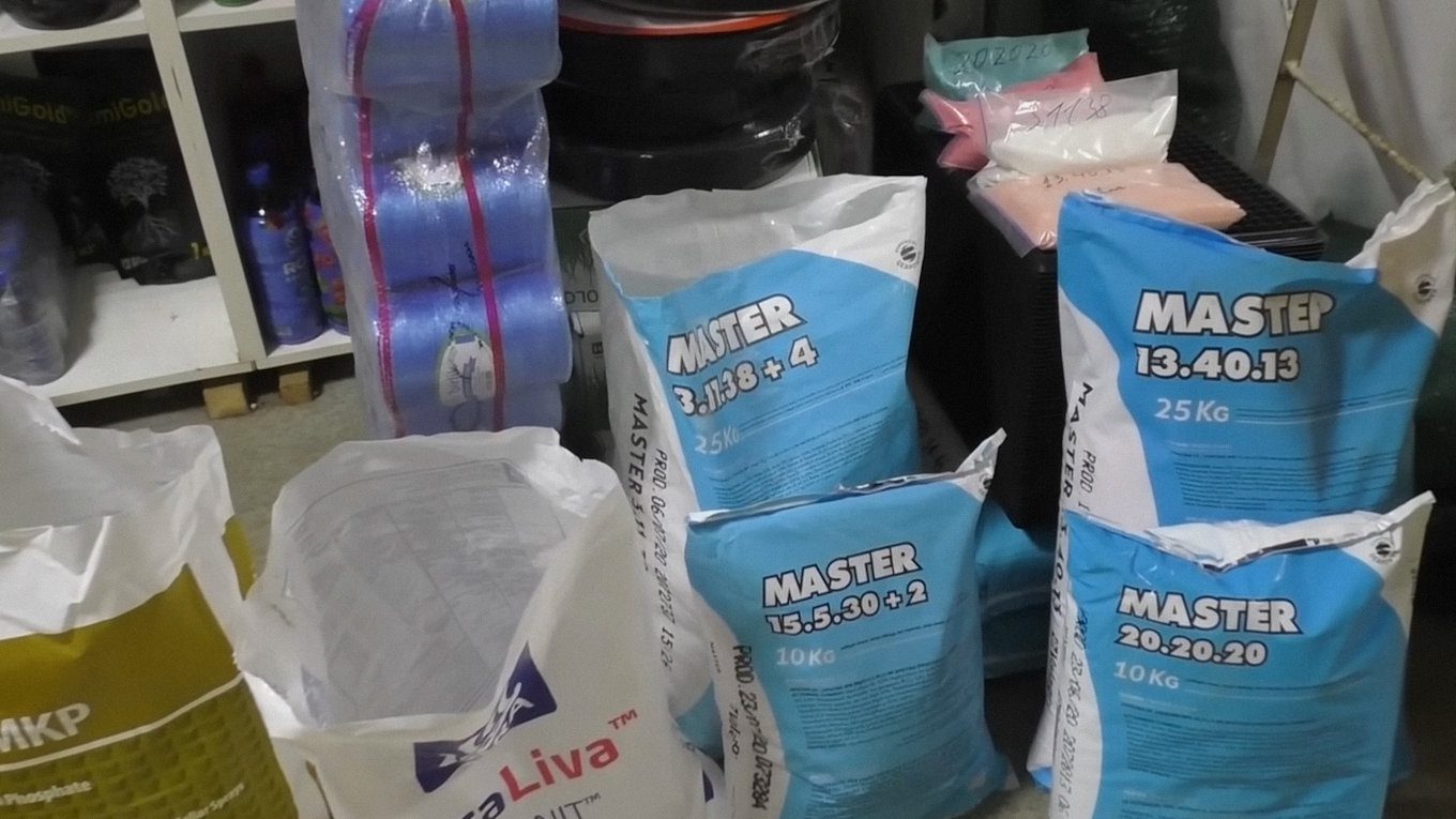 Добрива NPK умовно розділяються на весняні та осінні, а влітку може знадобитися точкове підживлення