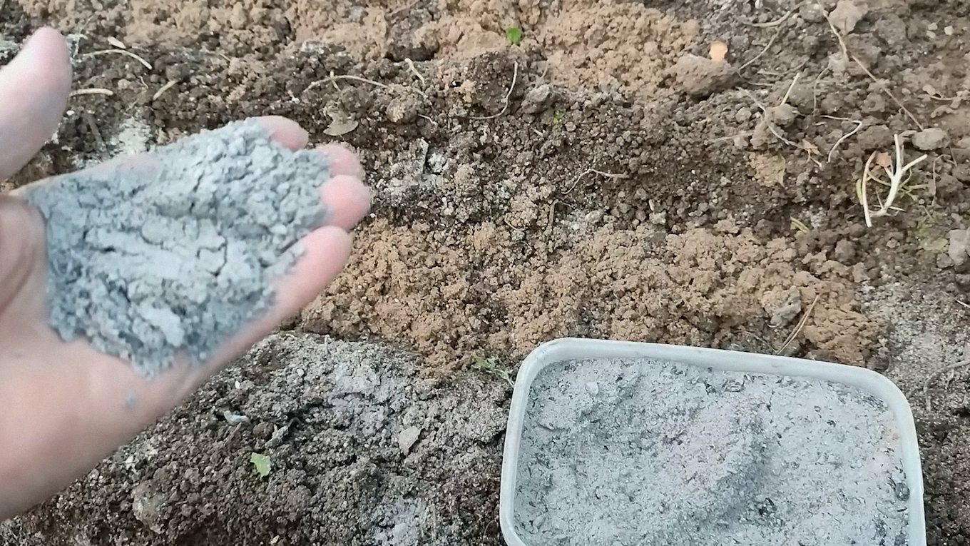 Перед висаджуванням озимого часнику грядку обов'язково треба підживити та загорнути добрива у ґрунт