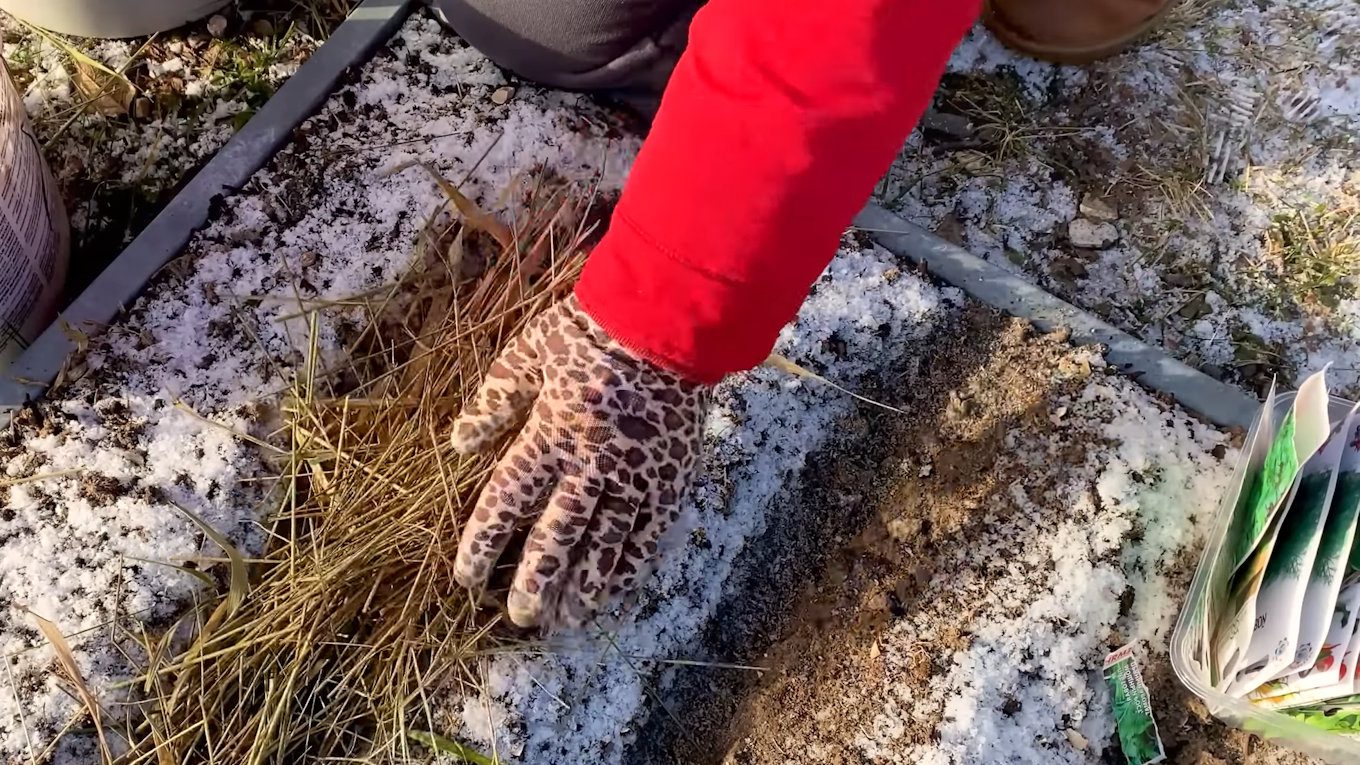 Накривати грядки обов'язково, а знімати мульчу навесні можна після стабільного потепління