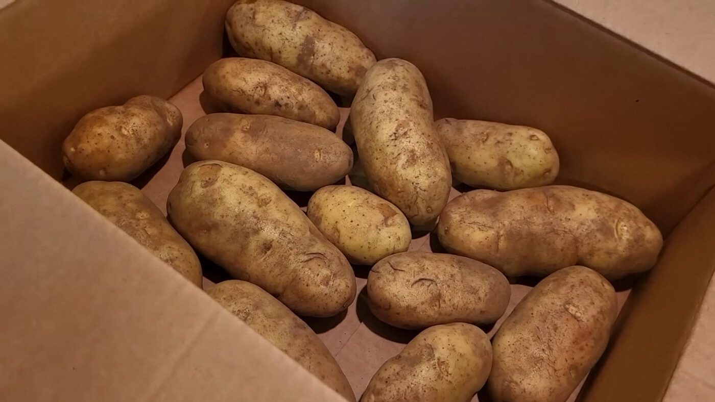 Як правильно зберігати овочі в квартирі