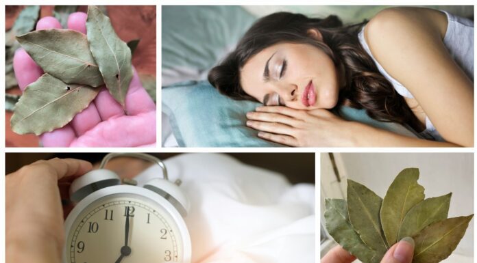 Як покращити сон і нічний відпочинок з лавровим листом