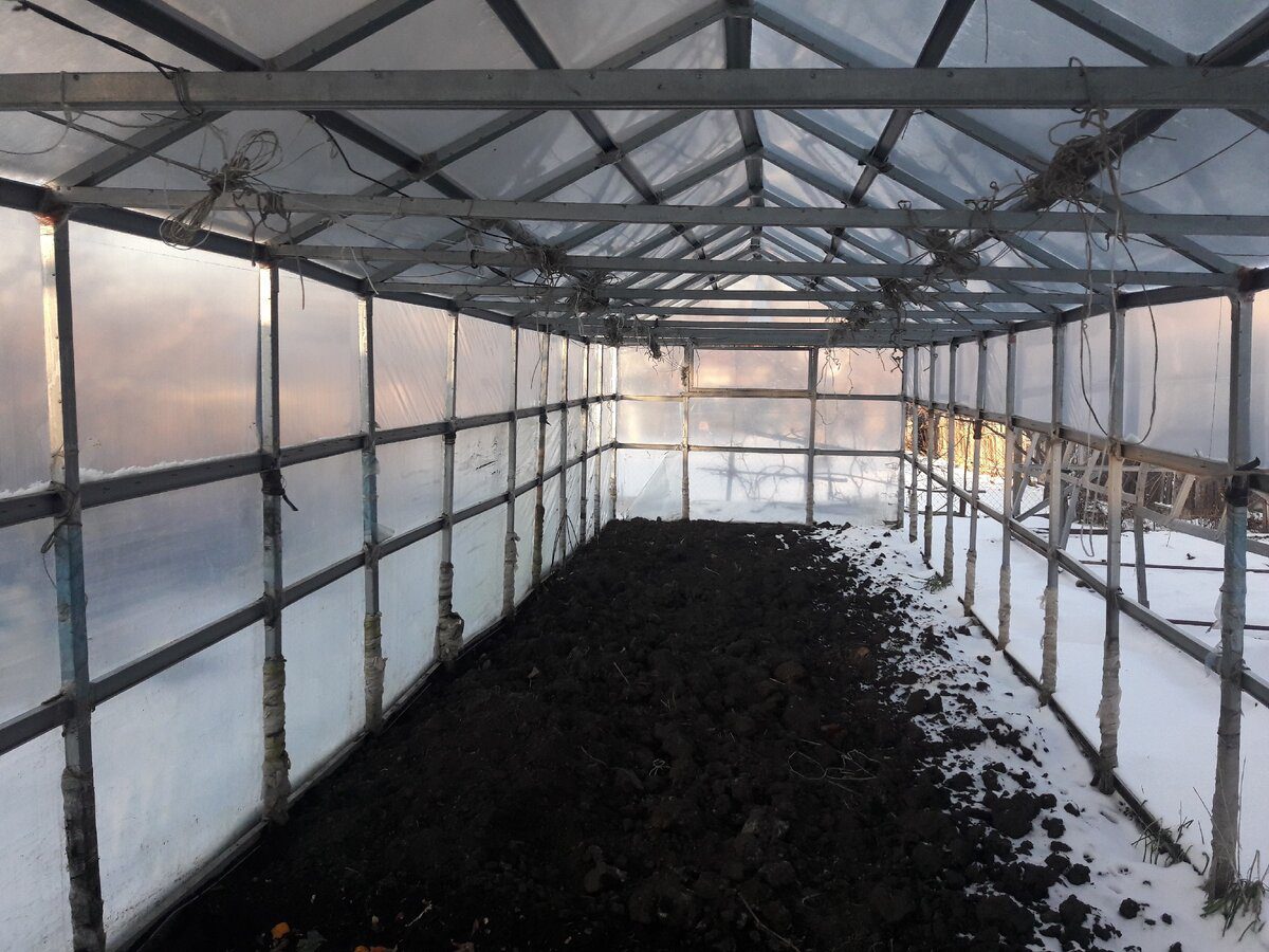 Експерти розповіли, як захистити теплицю від морозів і перепадів температури взимку