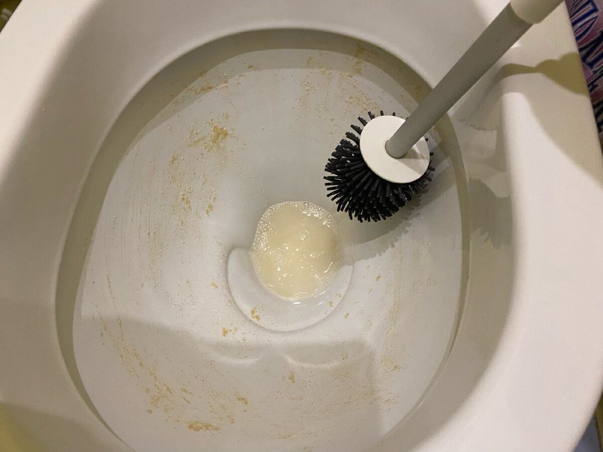 Експерти й господині розповіли про простий спосіб, який допоможе очистити унітаз від нальоту