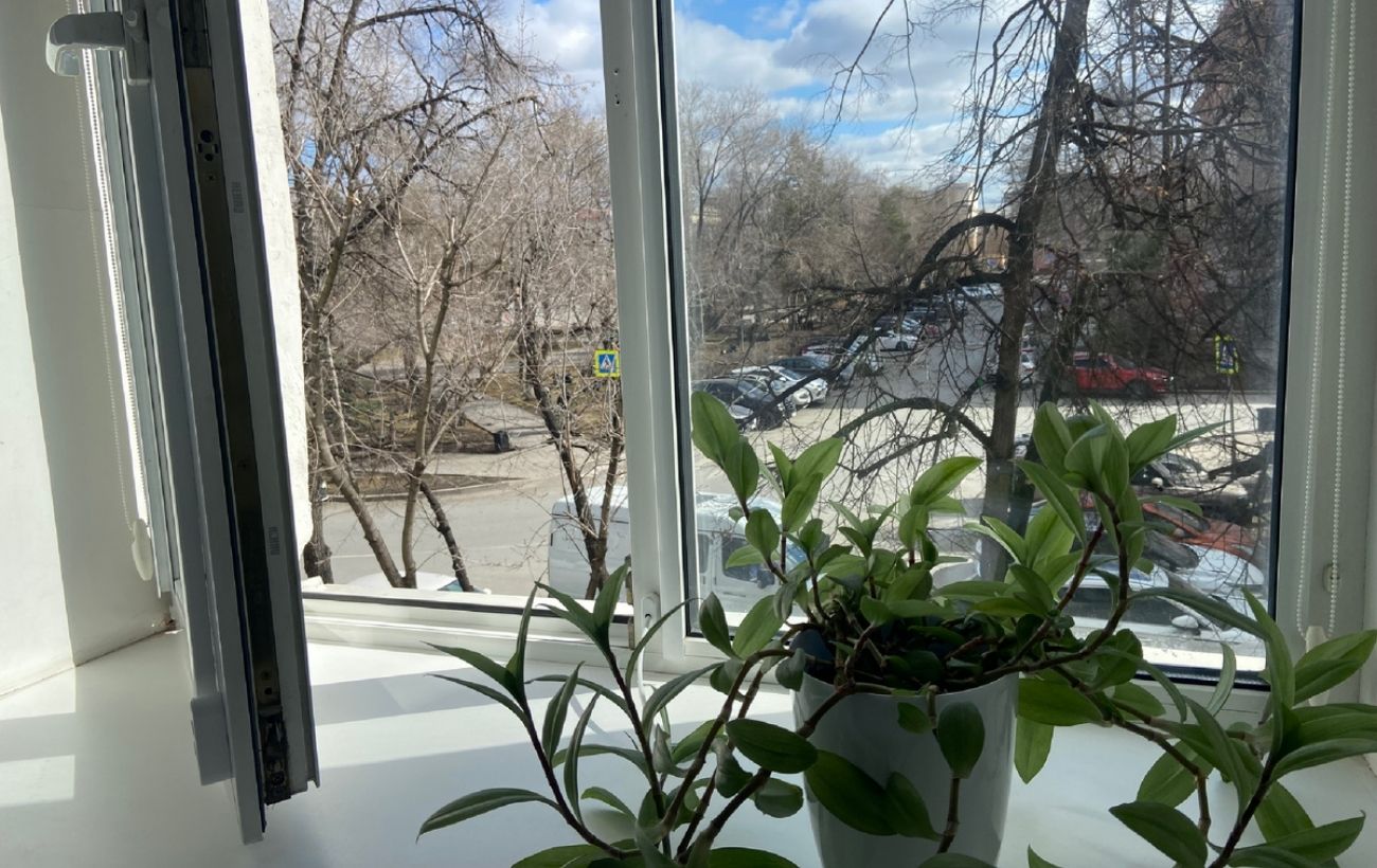 Експерти розповіли, як самостійно прибрати аромат затхлості в кімнаті без провітрювання