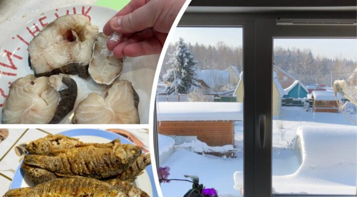 Як правильно смажити рибу без запаху