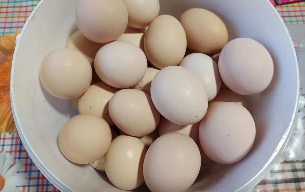 Експерти порадили простий і перевірений спосіб, як правильно варити яйця, аби шкаралупа злітала