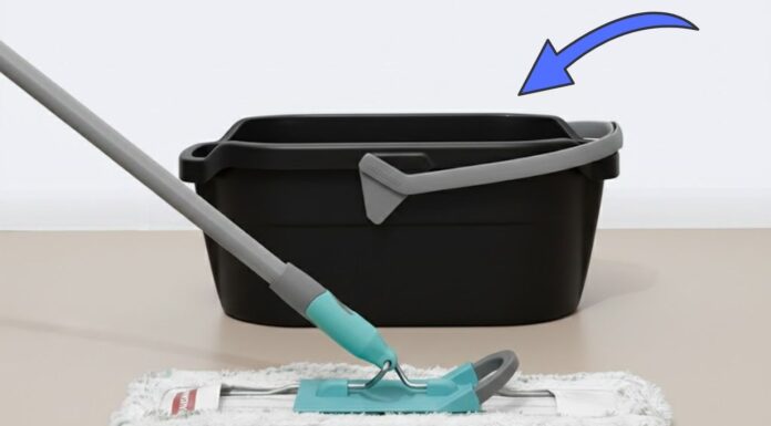 Навіщо мити підлогу водою з коріандром