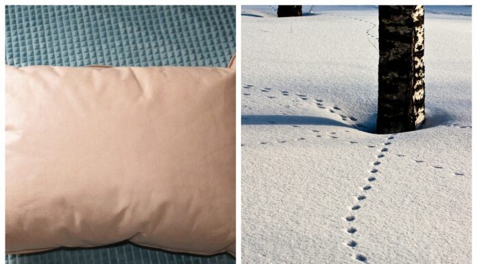 Всі подушки виношу на сніг, але не від скуки: стільки бруду не витягнуть і “Кархером” у хімчистці Як очистити подушки від бруду снігом