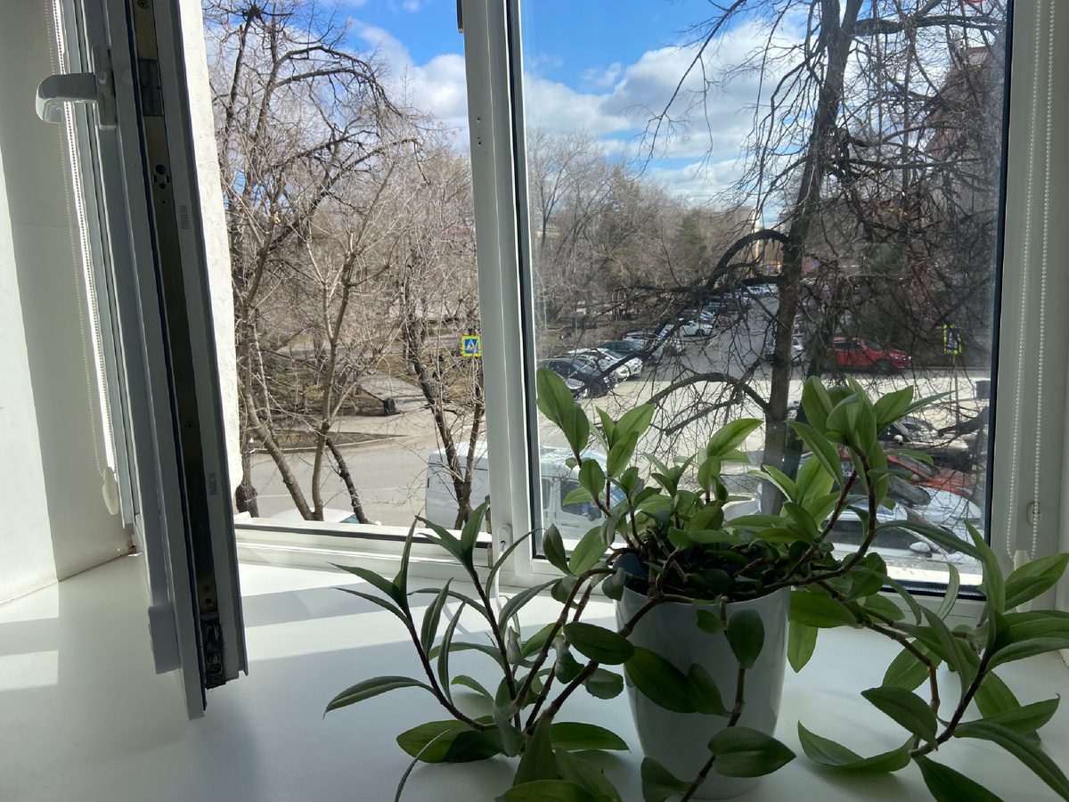 Експерти розповіли, як утеплити старі дерев'яні вікна за допомогою простого лайфхаку – порада