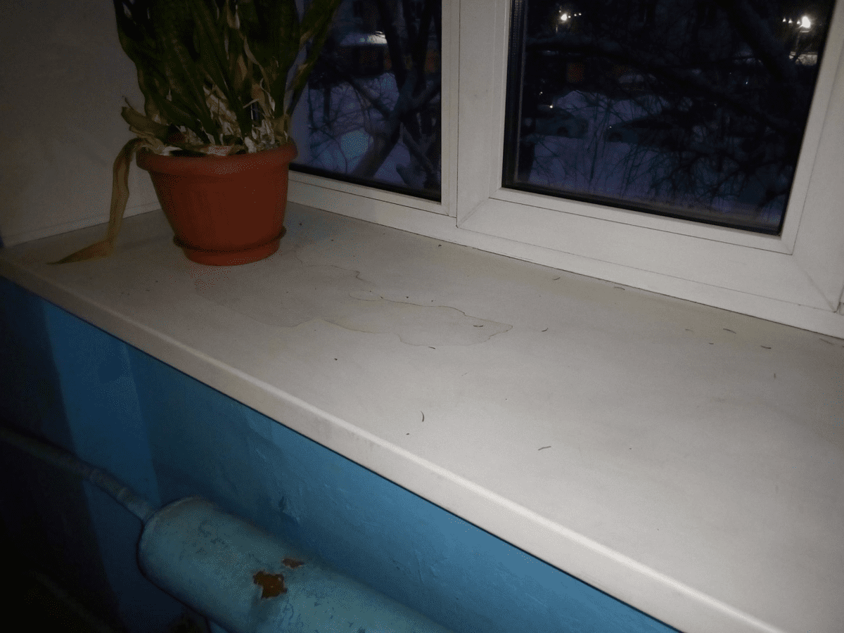 Експерти розповіли, як покращити ефективність опалення в зимовий період з простим трюком