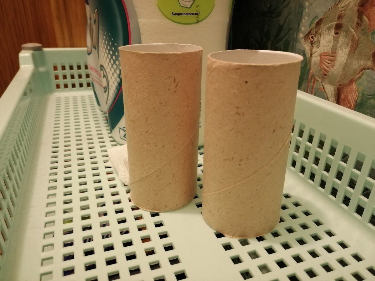 Експерти розповіли, які є способи використання втулок від туалетного паперу – проста порада