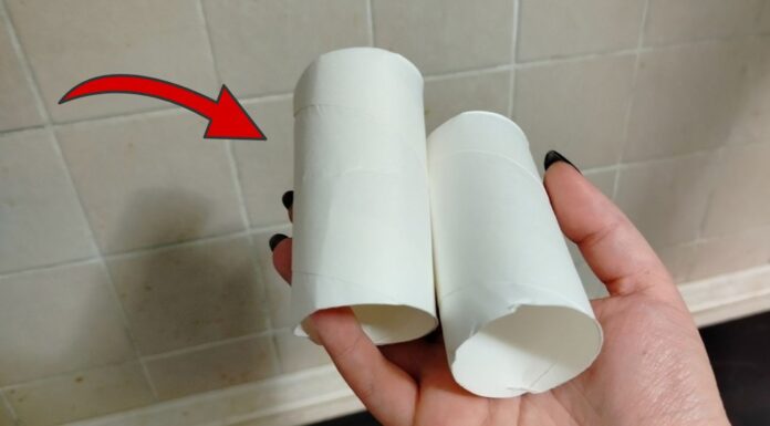 Картонні втулки “складую”, а не викидаю: 1 простий трюк для дому, який реально працює на чистоту Як використовувати втулки від туалетного паперу в побуті