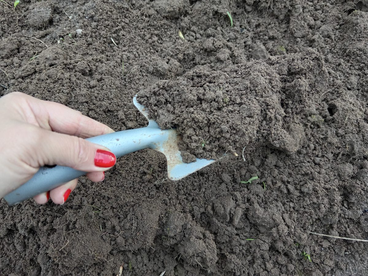 Експерти порадили, яке добриво використовувати для покращення структури ґрунту на грядці