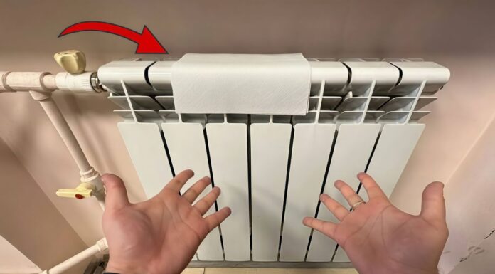 Повітря в квартирі стало як у зимовому лісі: розвісила на батареї серветки з парою крапель такої пахучки Як очистити повітря та ароматизувати його