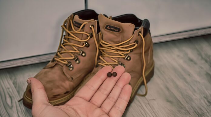 Кладу по 2 горошини в кожен черевик – і ноги не мерзнуть навіть у сильний мороз: -20 градусів, а мені тепло Як утеплити взуття взимку без додаткових витрат