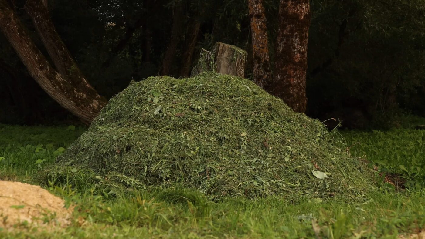 Городники порадили 5 агроприйомів для грядок, щоб мати кращий урожай