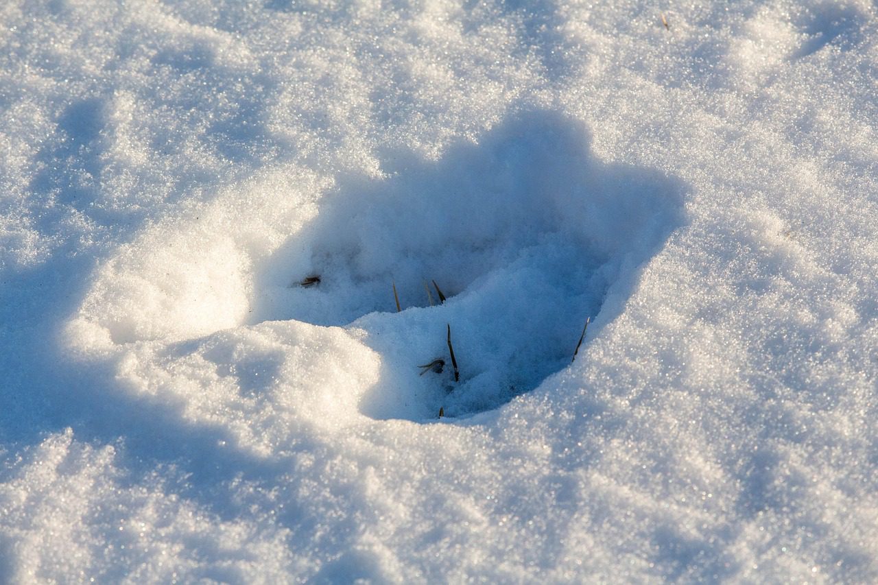 Як підготувати ноги до виходу на мороз