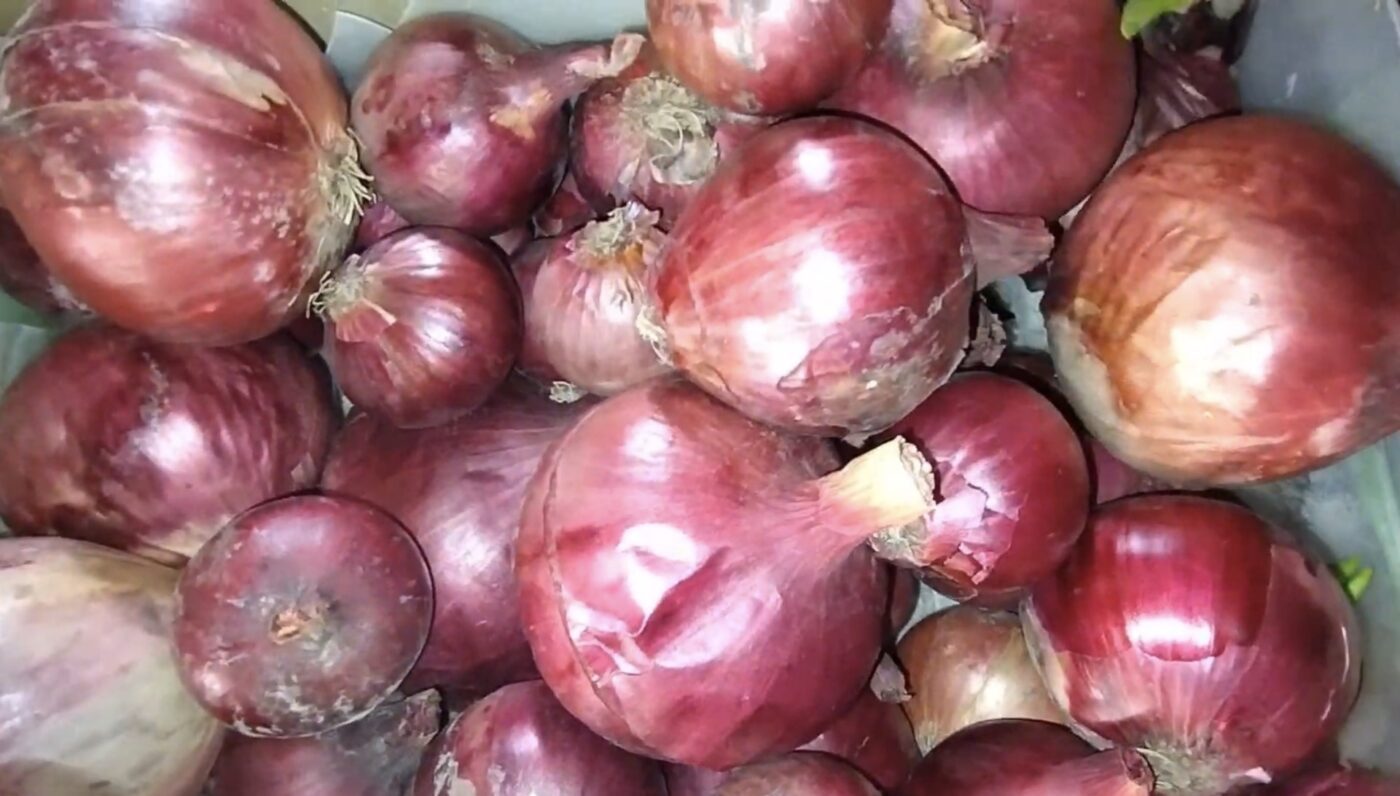 Як підживити ґрунт, аби родючість на городі була більшою